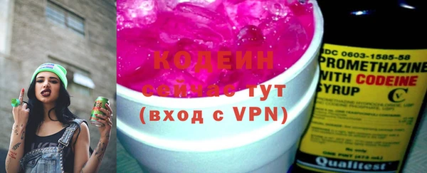 индика Лихославль