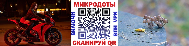 закладка  Кологрив  МЕГА ONION  Псилоцибиновые грибы прущие грибы 